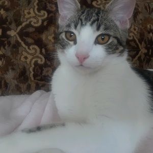 Meet your Posher, Tarah